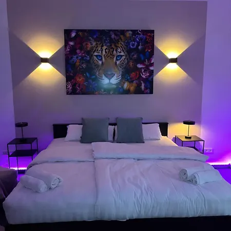 Design Fuer 4 Naehe Messe Smart Tv